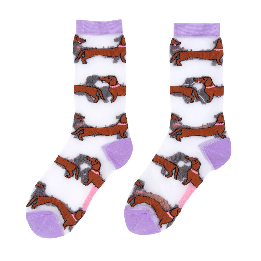 Chaussettes transparentes Teckel - Coucou Suzette