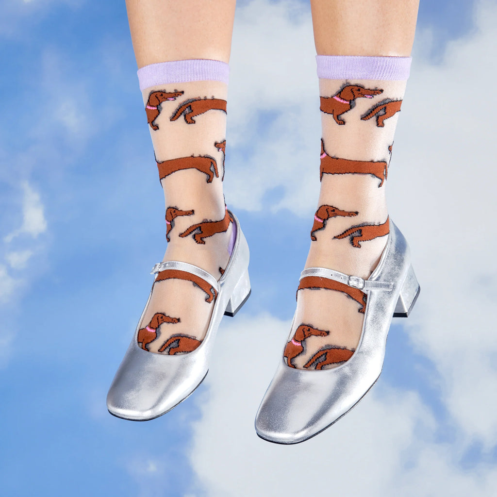 Chaussettes transparentes Teckel - Coucou Suzette