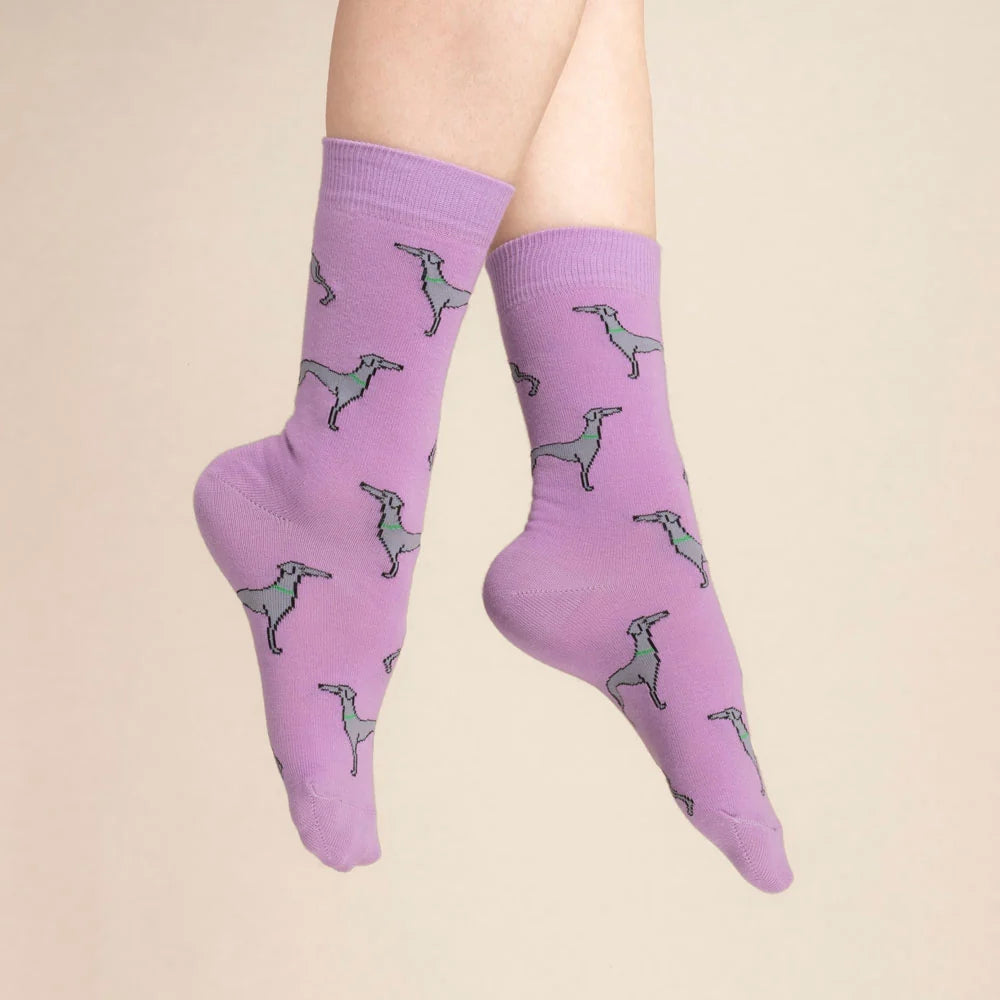 Chaussettes Lévrier - Coucou Suzette