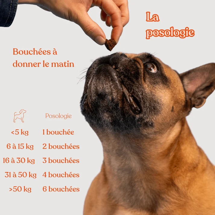 Complément démangeaisons - Weloca