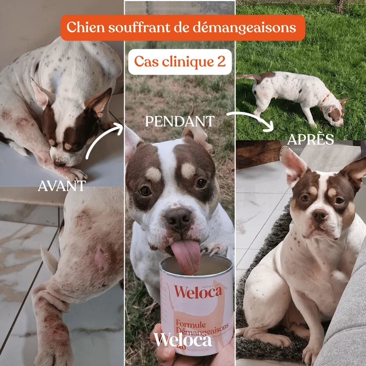 Complément démangeaisons - Weloca