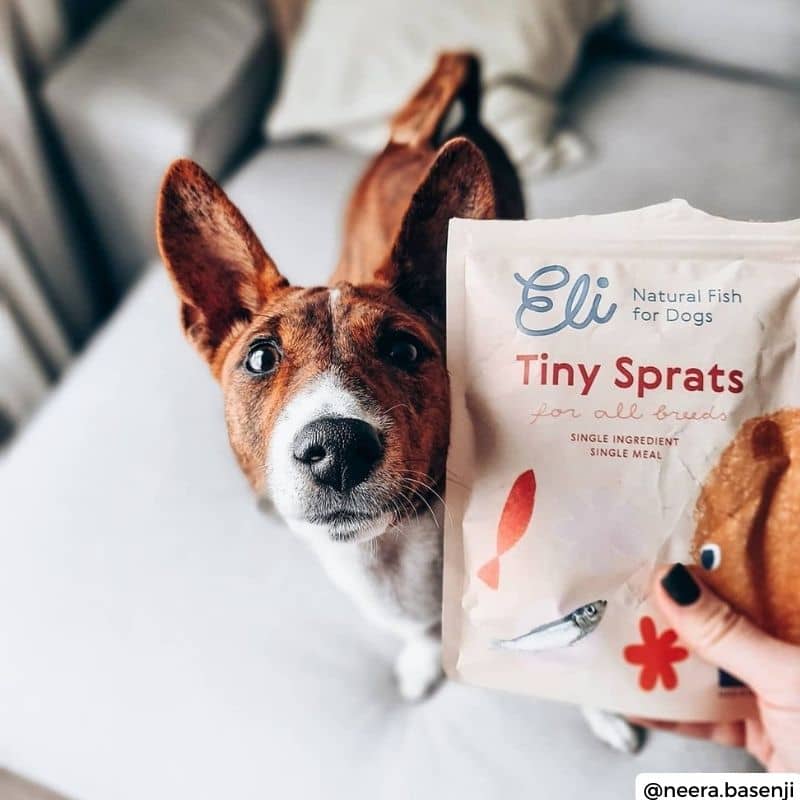 Petits sprats séchés - ELI