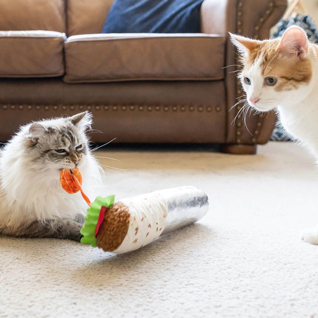 Feline Frenzy Shrimp Purrito – Jouet kicker pour chat