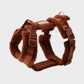 Harnais sherpa - Terre cuite - Furlou