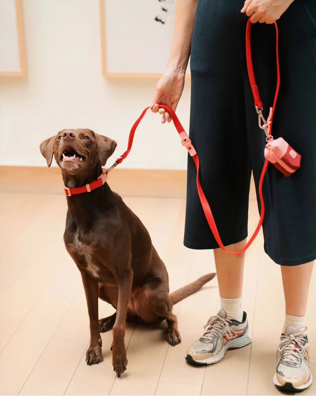 Laisse mains libres pour chien - Rouge - Approved by Fritz