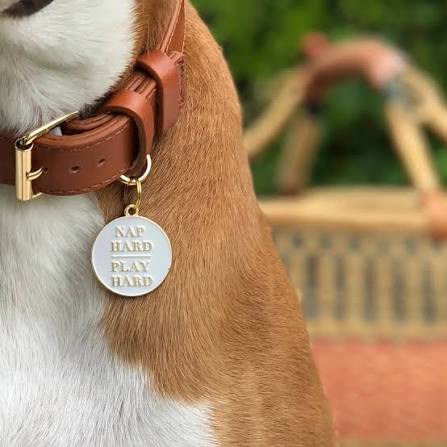 Médaille « Nap Hard Play Hard » - Two Tails