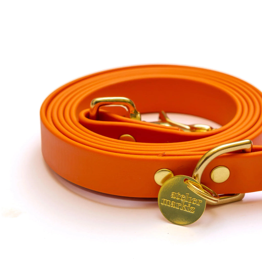 Laisse mains libres en Biothane Orange vif – 19mm - Atelier Markiz