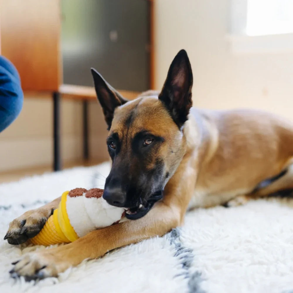 Peluche pour chien glace - P.L.A.Y