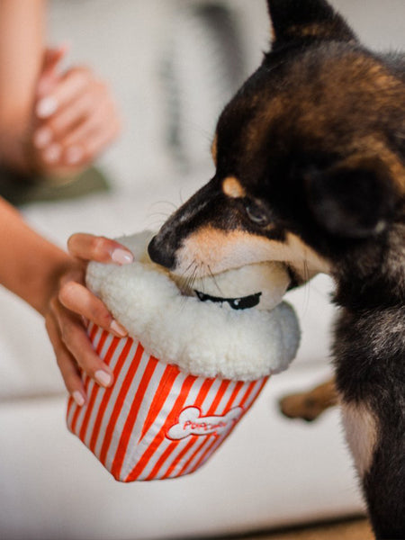 Jouet Pupcorn Hollywood Cinema - P.L.A.Y.
