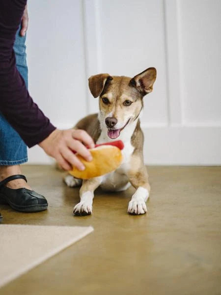 Peluche pour chien Hot Dog mini - P.L.A.Y