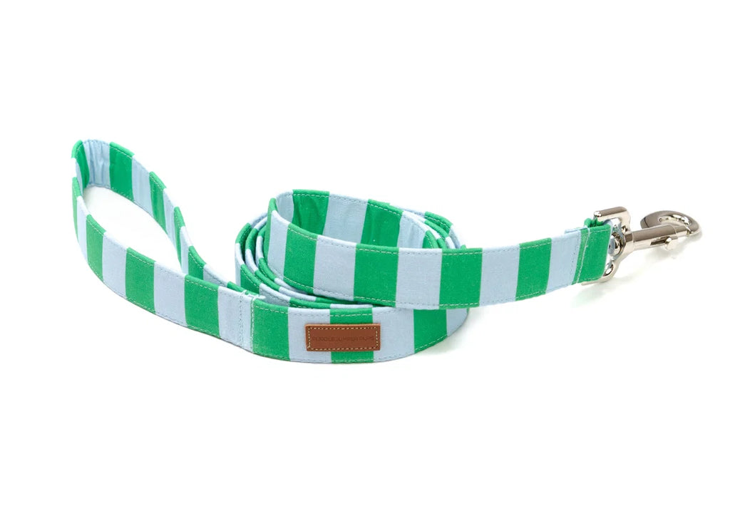 Laisse avec poignée de circulation - Vert & Bleu - Puddle Jumper Pups