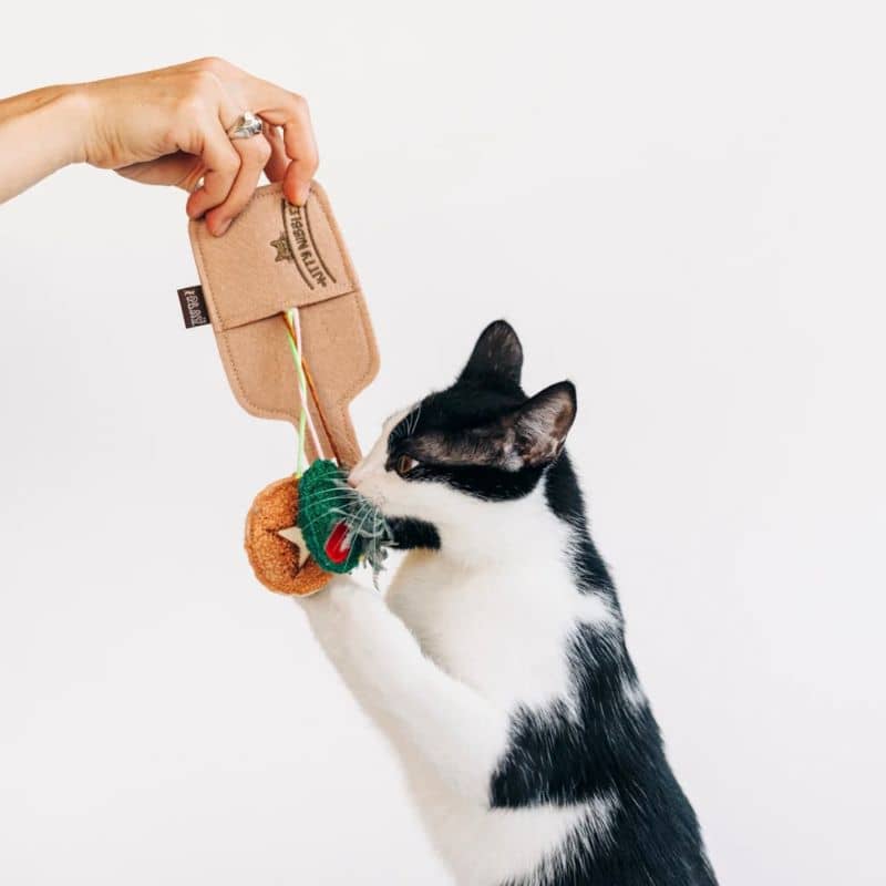 Feline Frenzy Purrfect Pairings – Jouet pour chat