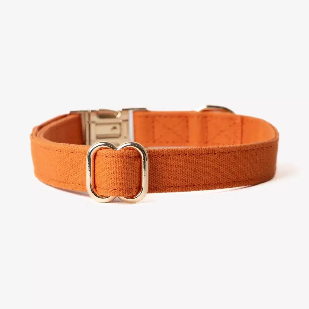Collier chien - Orange - Furlou