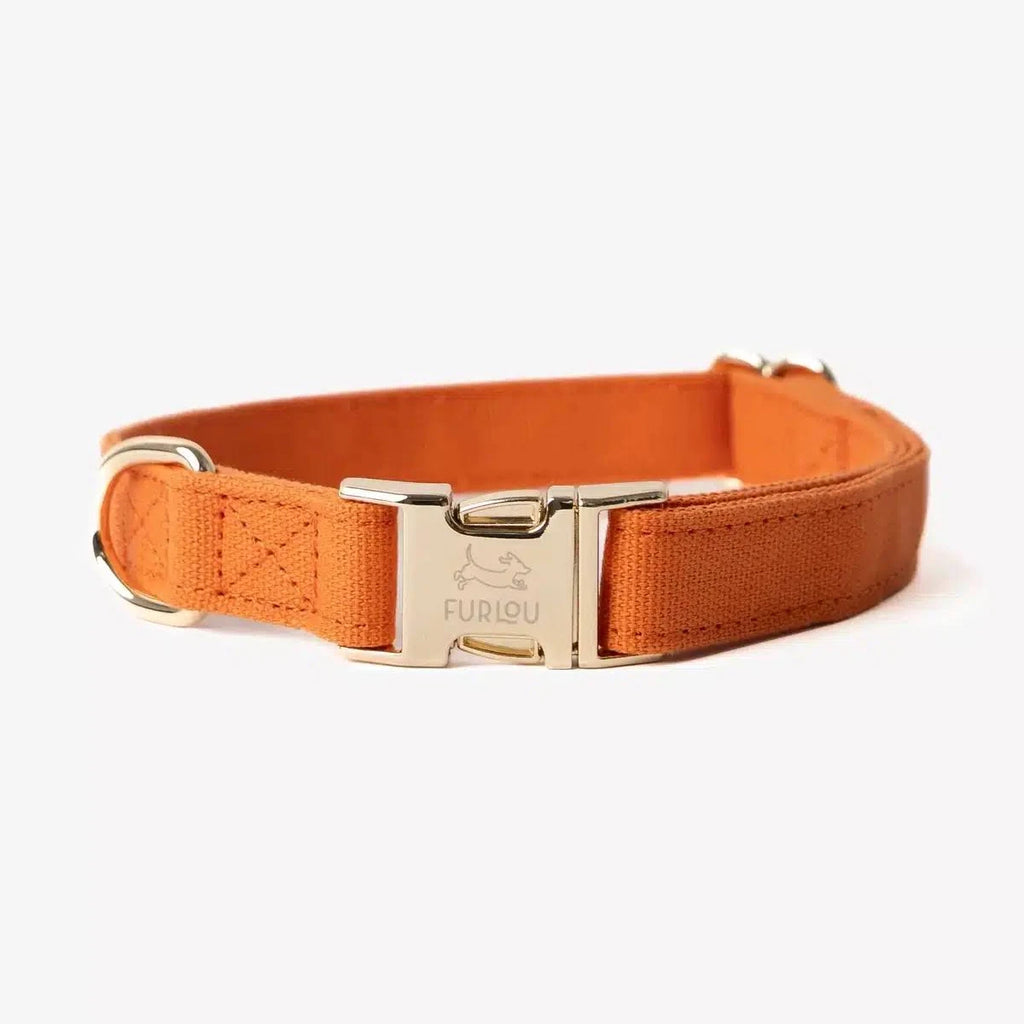 Collier chien - Orange - Furlou