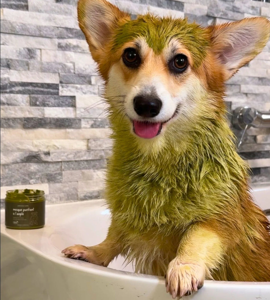 Masque purifiant à l'argile - Patoune Verte