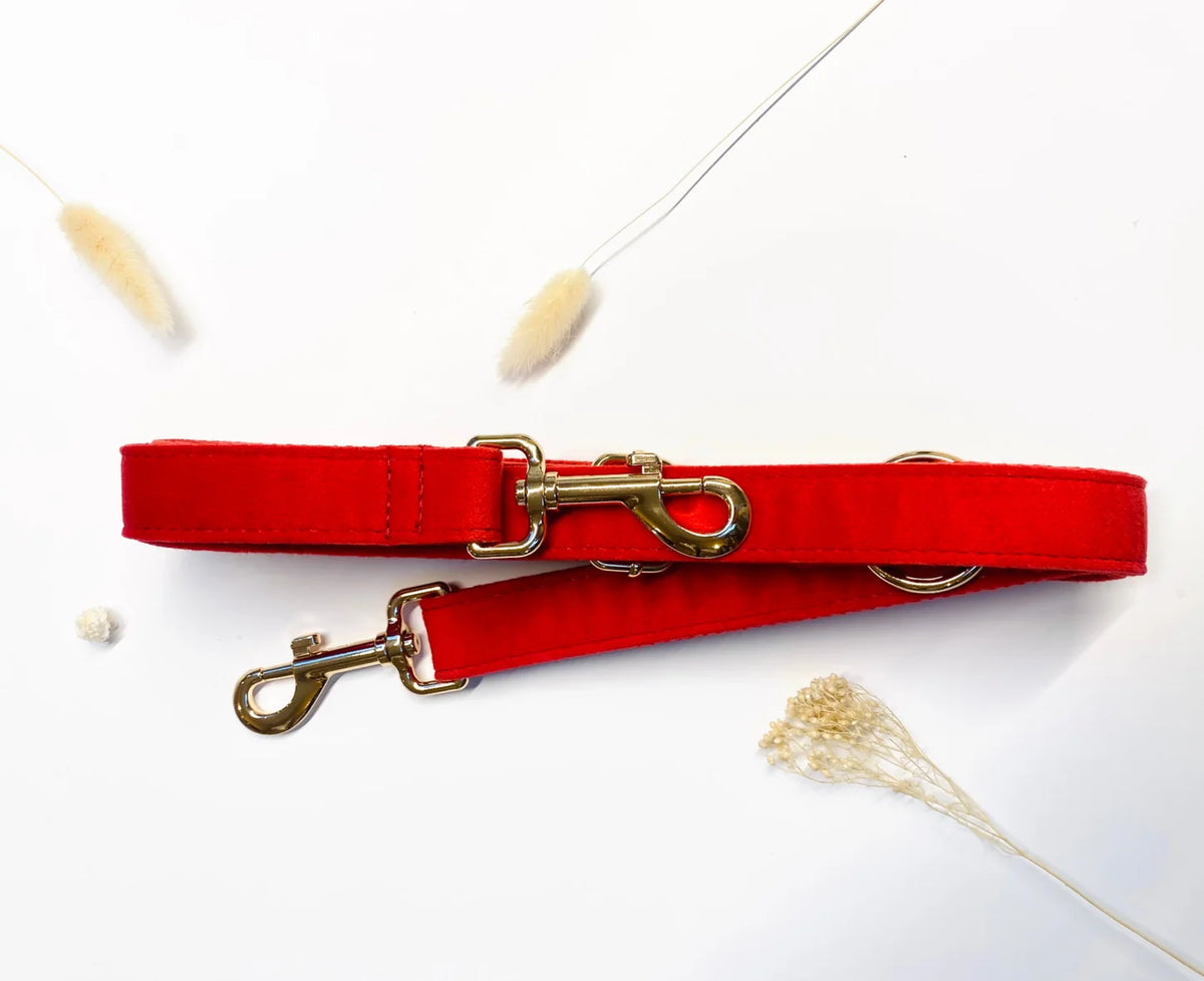 Laisse multiposition – Velours Rouge – Bandes de Canailles