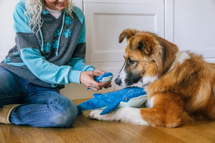 Jouet duo de Baleines pour Chien - P.L.A.Y.