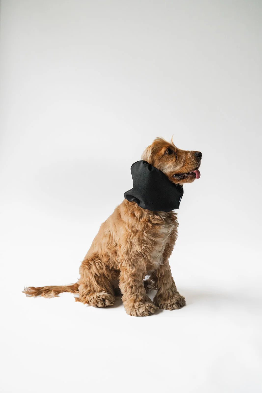 Snood waterproof noir - Lou&Co